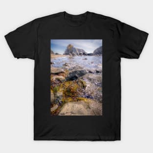 The Beach Near Brookings, Oregon T-Shirt